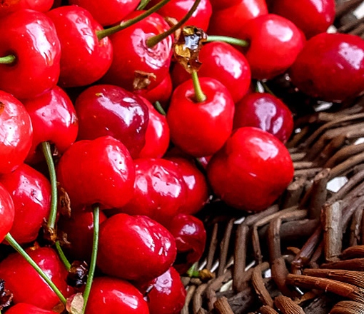 Accrola Cherry