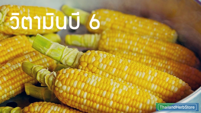 วิตามินบี 6 คำแนะนำในการกิน พร้อมประโยชน์ที่ได้จาก วิตามินบี6