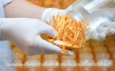 Cordyceps ดียังไง กินถั่งเช่าสีทองก่อนนอนดีที่สุด จริงไหม?